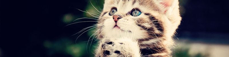 ��� � ����� � ����� �������� �������� ���������� ���� �������?