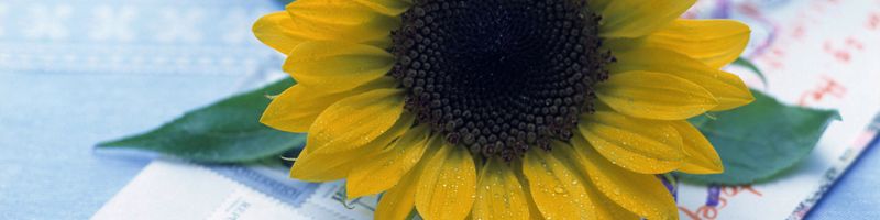 ��� ���������� �� ����� ���� �������������� �������� ������������ �������� ��������?