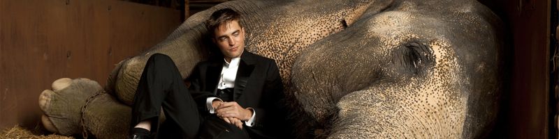 Зачем слону хобот?