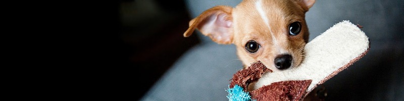 ��� �� ������� ����� ����� ���� ������ ��������� ���-��������? � ������ ����������?