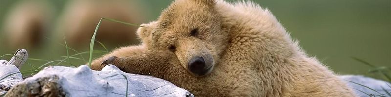 ���� �� � ��������� ������� � ��������� �������?